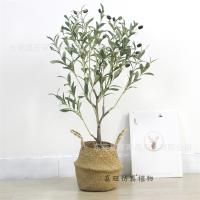 uploads/erp/collection/images/Home Garden/dgjiawang/XU0612839/img_b/XU0612839_img_b_2